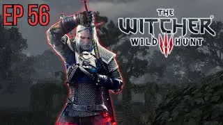 Давайте найдём снаряжение Школы кошек &mdash; прохождение The WITCHER 3 Wild Hunt в разрешении 4K | Эпи...