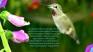 Hummingbird Wisdom for 2025