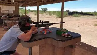 Raptor muzzle brake from APW (.308)