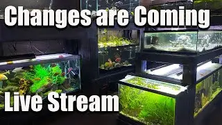 [LIVE] Big Changes are Coming to Prime Time Aquatics! and I Think We'll Do a GIVEAWAY