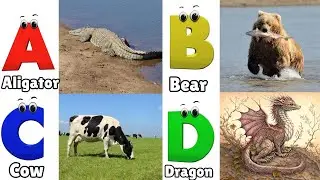Alphabet Animals Song | Learn the ABC Alphabet Animals Song for Kids | ABC Alphabet Phonics Song