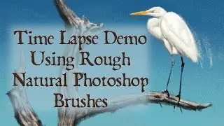 Custom Photoshop Brushes - Digital Painting Time Lapse Egret Demo