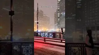 The Chicago Winter Experience (2024)
