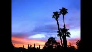 Dietmar Scherf Art: Beaches & Palm Trees