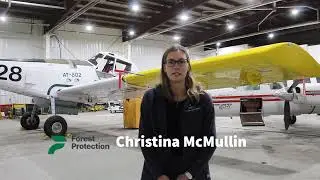 Forest Protection Limited: Our Role