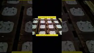 Coffee cup tray making machine production line with drying #paperpulpmoldingmachine #coffeecuptray