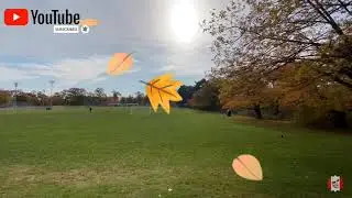 HIGH PARK at TORONTO DURING AUTUMN