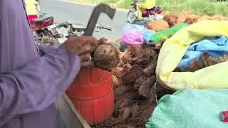 Fresh Coconut Water Street Style | Cutting & Drinking Full Video