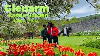 Glenarm Castle Garden Tulip Festival