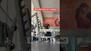 Какие мышцы я тренирую? #деньжизнифизиотерапевта