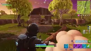 Fortnite Solo Win 16 Kills