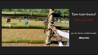Tam tam boeuf