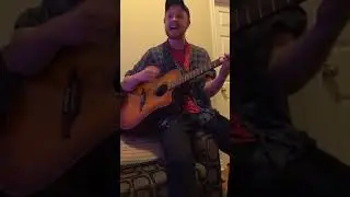 End Game (ft. Ed Sheeran and Future) - Taylor Swift cover