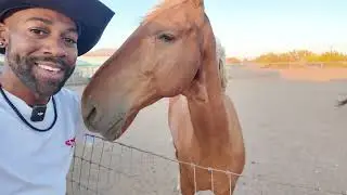 Мой первый опыт верховой езды!