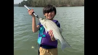 Catching Hybrids on Lake Norman (Tips)
