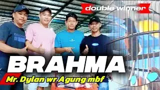 BRAHMA juara 1 tiket 250 k di latpres Trans Bird Arena,double winner 