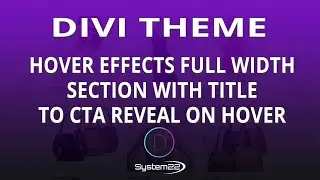 Divi Theme Full Width Section With Title To CTA Reveal On Hover 👈