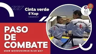 Pasos de Combate para Cinta Verde Avanzada Moo Duk Kwan Taekwondo Secuencia 1 #BlueMatAcademy