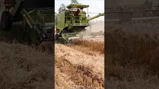 I Built the Ultimate GRD Combine Harvester