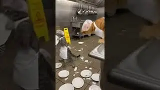 Hilarious cat fight video