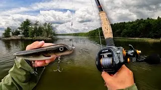 GIANT MUSKY in SHALLOW Water!! (Eagle Lake)