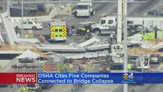 OSHA Cites Five Companies Connected To Bridge Collapse