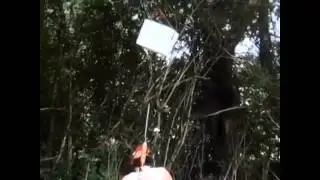 Alabama Boss - My Ice Bucket Challenge