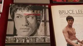 A Short Review of Steve Kerridge Bruce Lee Publications i own 🐉 🐲 ✌