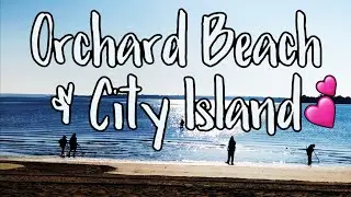 NYC Hidden Gems (Bronx Edition) I Orchard Beach & City Island 2020
