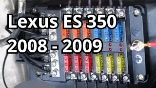Fuse Box Diagram: Lexus ES 350 2008 - 2009. @FuseFans.