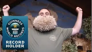 3500 Toothpicks In My Beard - Guinness World Record!
