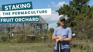 STAKING THE NEW PERMACULTURE FRUIT ORCHARD AND CHECKING IN ON THE PRICKLY PEAR AND MORE&hellip;