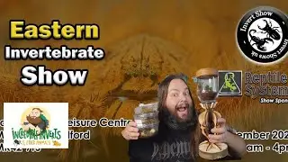 Eastern Invertebrate Show | Show Footage | Pick Ups #expo #invertebrates #pickups