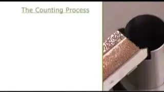 DATA Count & Pack S-60 Seed counting & packaging machine