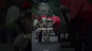 #Ummid kabhi nhi chhodni chahiye #youtubeshorts #humorvideos #shortformcomedy #trendingshorts #ras