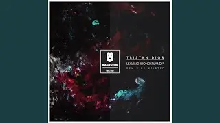 Leaving Wonderland (Keistep Remix)