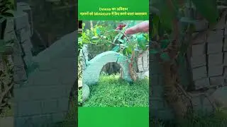Amitabh from Dewas | The artist who captures views in miniature #shorts #plantlovers