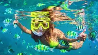 Florida Holidays 2024 - Perfect Family Holiday