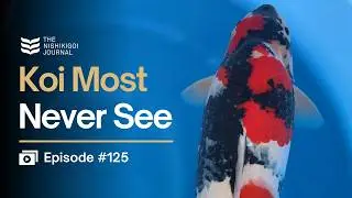 | N.I.J. | Ep #125