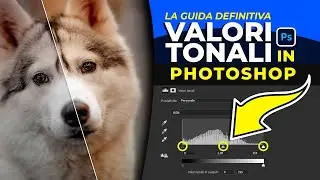 VALORI TONALI in PHOTOSHOP: differenze con Luminosità e Contrasto