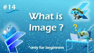 Image widget in flutter | Flutter image | Asset and Network image in flutter