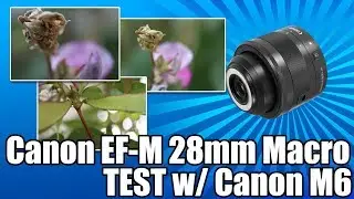 Canon EF-M 28mm f/3.5 Macro IS STM VIDEO TEST - SUPER MACRO