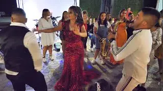 ♛Криси Тигъра SAX-шампион кючек Caralo Havasi♛