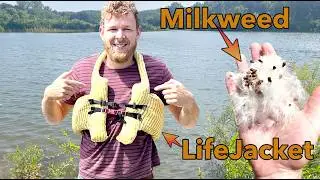 Milkweed Floss Life Jacket That's More Buoyant Than Cork