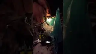 Escapadă în camp 