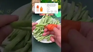 Amazon ₹143 V T Cutter Box 🔥 Best Compact Cutter for Crafts, DIY & Kitchen | Must-Have Tool!#shorts