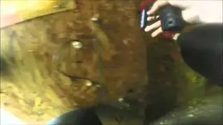 PCAction