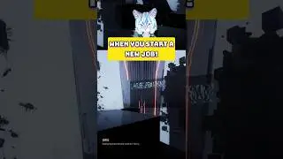 Job Ad vs Reality - Void/Breaker