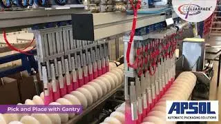 Automatic Case Packing of Personal Care Bottles using Timing screws | #Clearpack