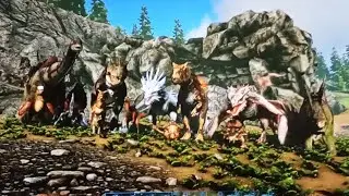Ark valguero s3 b14 bronto eğittim ve s&uuml;priz dino eğittim